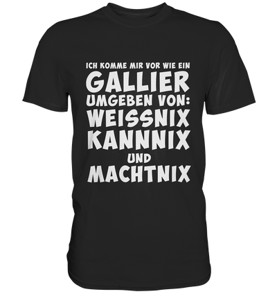 Gallier: Weissnix und Kannnix - Baufun Shop